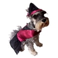 thumbnail image 1 of Disfraz Bruja Perro Halloween Talla 5 Mascota Pet Pals, 1 of 4