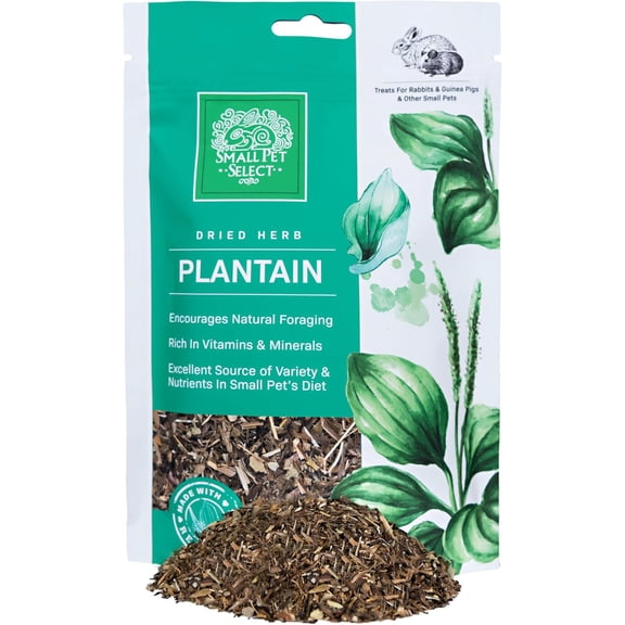 Small Pet Select - Plantain, a Natural Herbal Treat for Adult Rabbits, Guinea Pigs, Hamsters, Gerbils, and Mice, 2oz