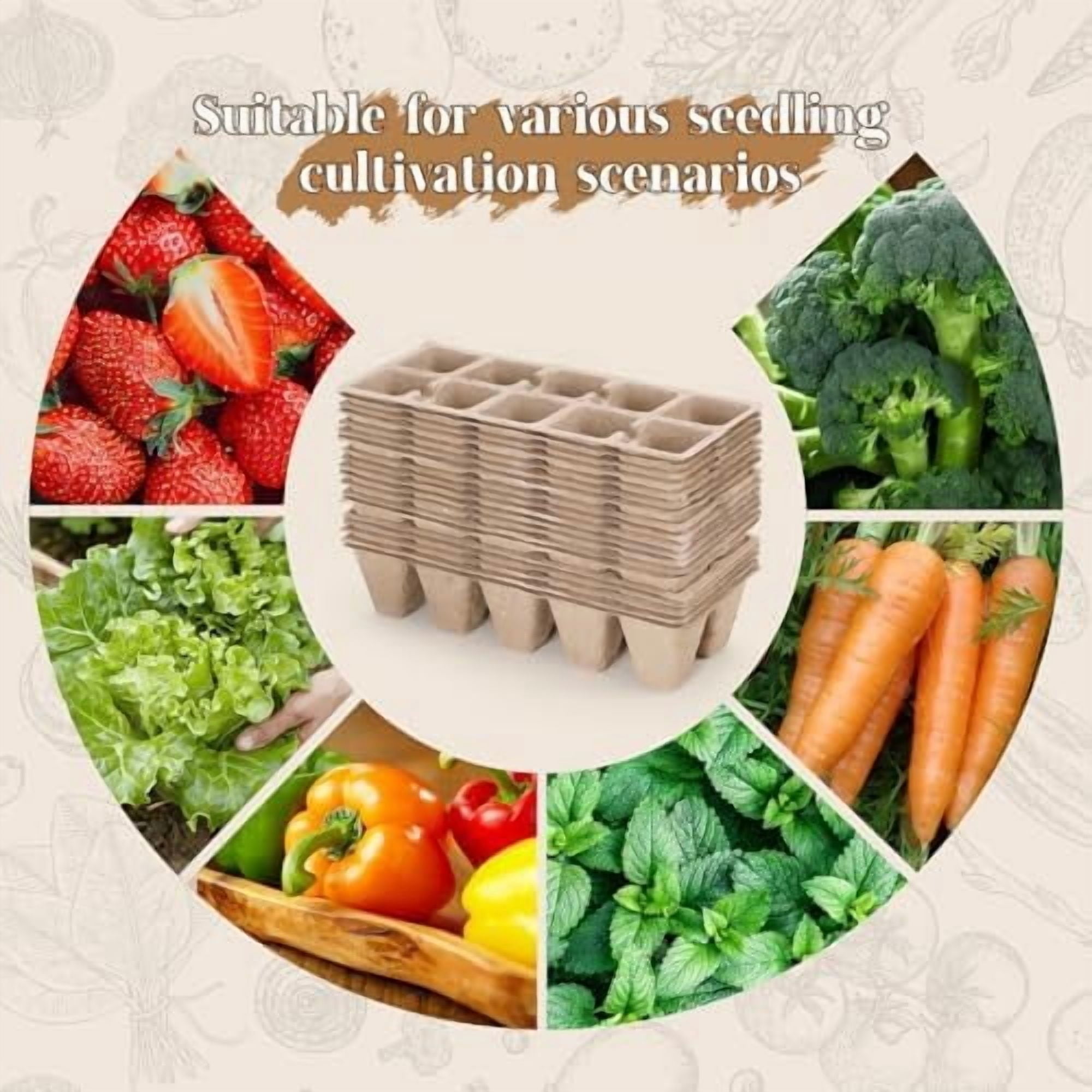 200 Cells Seed Starter Tray, 20 Pcs Biodegradable Plant Starter Peat Pots(Including T-Type Labels & Starter Tools)– Eco-Friendly Gardening Supplies, No Transplant Needed