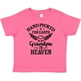 thumbnail image 3 of Inktastic Handpicked for Earth by My Grandpa in Heaven Angel Wings Boys or Girls Baby T-Shirt, 3 of 5