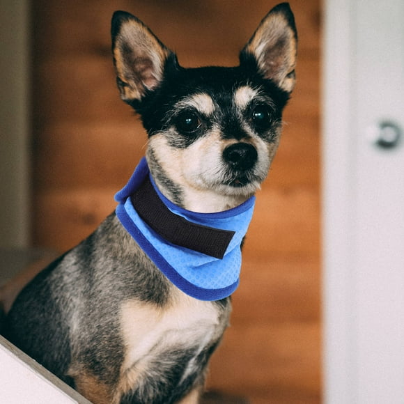 UPOUART Pañuelo Refrescante Para Mascotas Azul Con De Enfriamiento Duradero