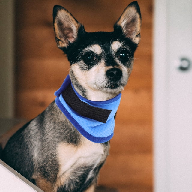 UPOUART Pañuelo Refrescante Para Mascotas Azul Con De Enfriamiento Duradero