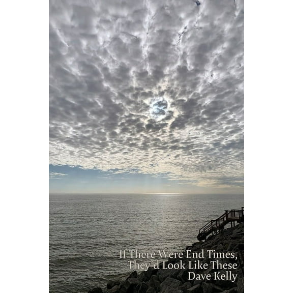 If There Were End Times, They'd Look Like These, (Paperback)
