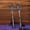 Silver, variant on 12.6 Inch Halloween Skeleton Hand Yard Stakes, 2 Pack, Realistic Bone Arm Ground Insert Props for Lawn Cemetery Outdoor Party Decor