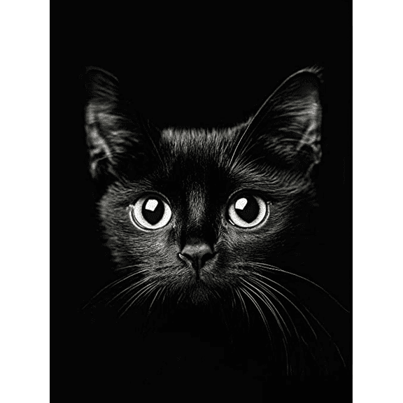 Black Cat Canvas Wall Art Print,Suitable for Living Room Bedroom Office Apartment Dorm and Cafe Decoration.