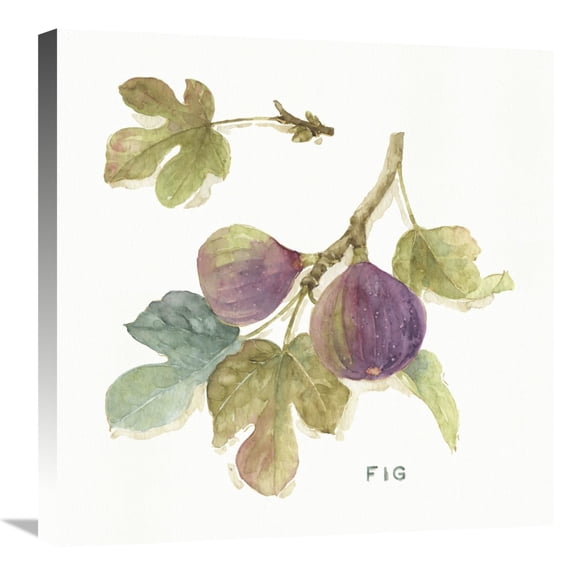 Global Gallery's 'Orchard Bloom III' By Lisa Audit Stretched Canvas Wall Art