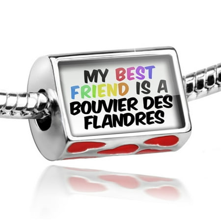 Bead My best Friend a Bouvier des Flandres Dog from Belgium Charm Fits All European