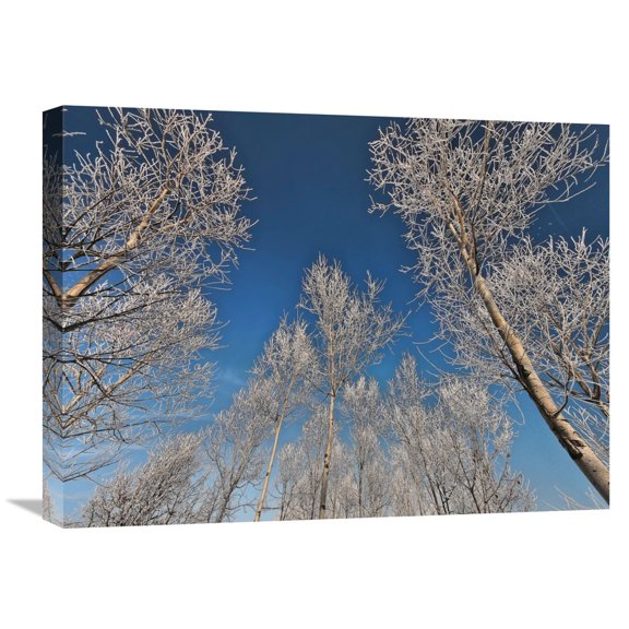 Global Gallery Fulvio Ferrua 'Sottozero' Canvas Wall Art