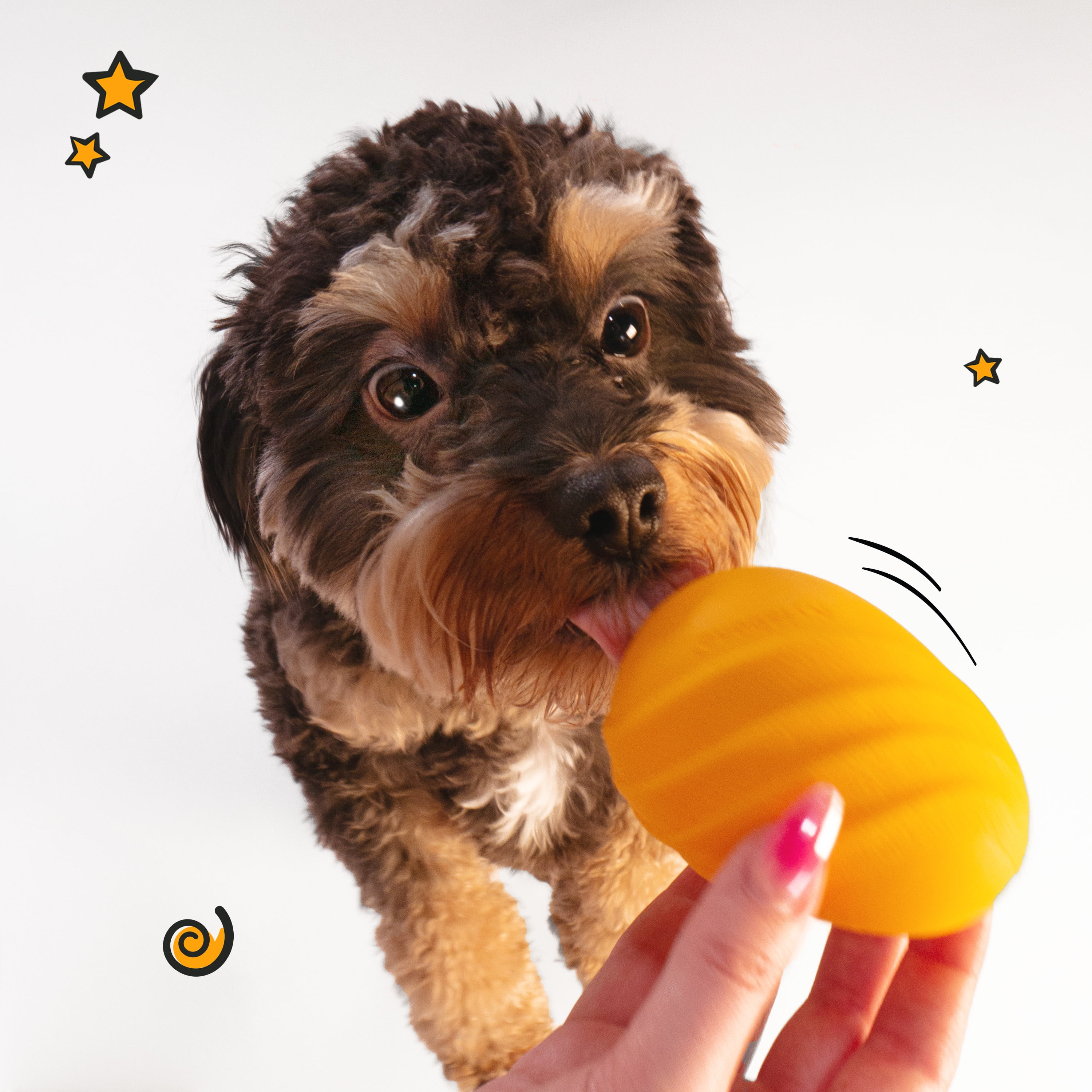 Nylabone Creative Play Eggi Interactive Dog Toys