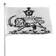 thumbnail image 2 of Large Old Iran Historic Flag Long Lasting Seasonal Single-sided Printing Banners Double Stitched Durable House for Patio Yard Lawn Outdoor, 2 of 9