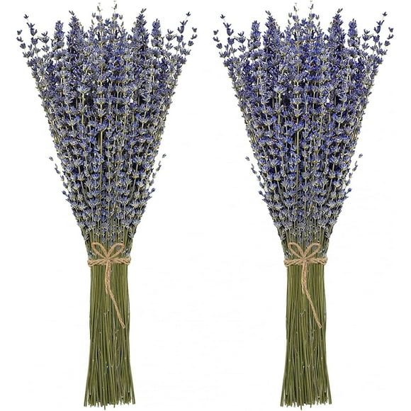 Dried Lavender Bouquet 100% Natural Dried Lavender Flowers for Home Decor, Photo