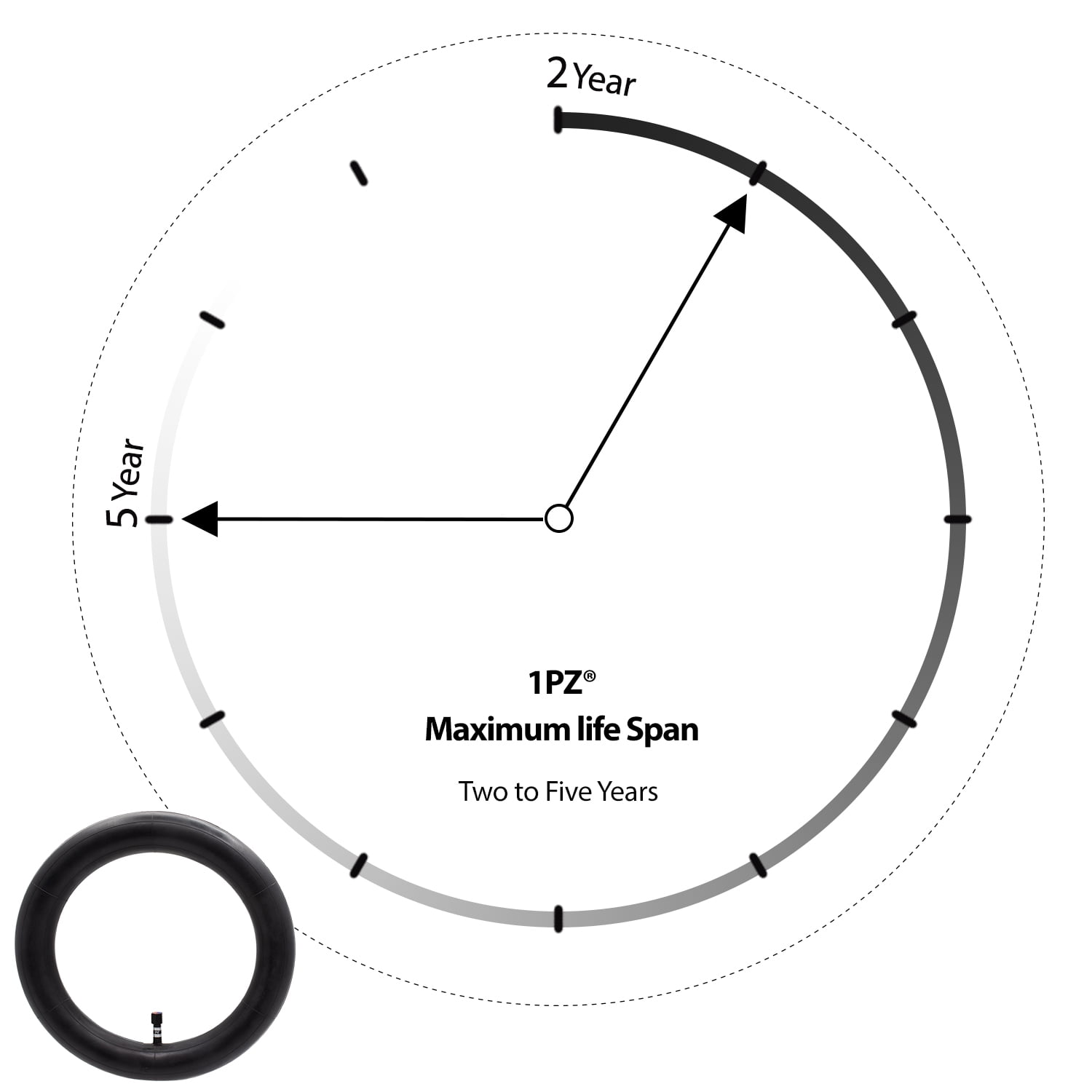 12.5 x 2.5 inner tube