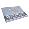 thumbnail image 1 of Carolines Treasures BB8350LCB Schnauzer Welcome Glass Cutting Board Large, 1 of 2