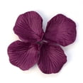 thumbnail image 1 of 200pcs Red Colors Silk Flower Rose Petals Wedding Party Decorations, 1 of 4