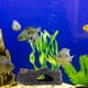 thumbnail image 2 of Escondite para acuario, cueva para acuario, escondite para peces, decoración para cueva, decoración para pecera, 2 of 4