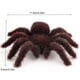 thumbnail image 4 of Araña Gigante Artificial Espeluznante para Fiesta Halloween (marrón Oscuro), 4 of 6