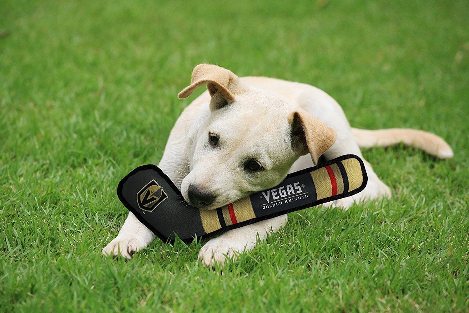 Pets First NHL Vegas Golden Knights Hockey Stick Toy for Dogs & Cats - Heavy-Duty, Durable Dog Toy with Squeaker