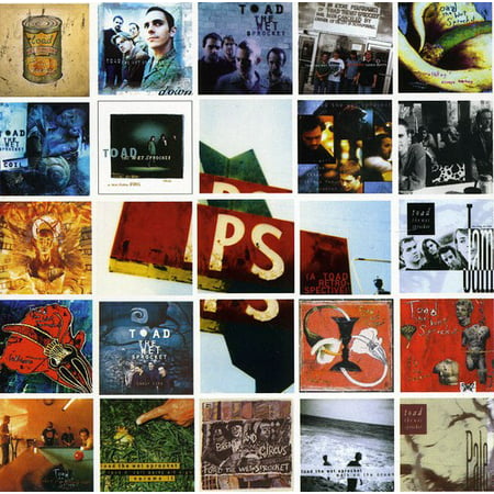 P.S. [A Toad Retrospective] (CD) (Best Of Toad The Wet Sprocket)