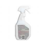 Clorox Disinfectant,Bstnodrmvr,9 31903