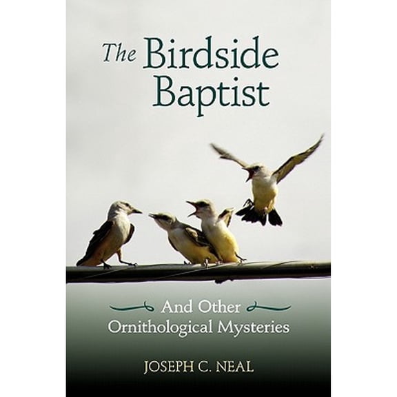 The Birdside Baptist (Paperback)