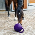 thumbnail image 3 of Prettyia 28 cm de diámetro. Juguete de caballo  de caballos y juguete de /Morado/Rosa 28cm rosa Zulema Pelota Jolly Sólida Sólida de Goma, 3 of 8