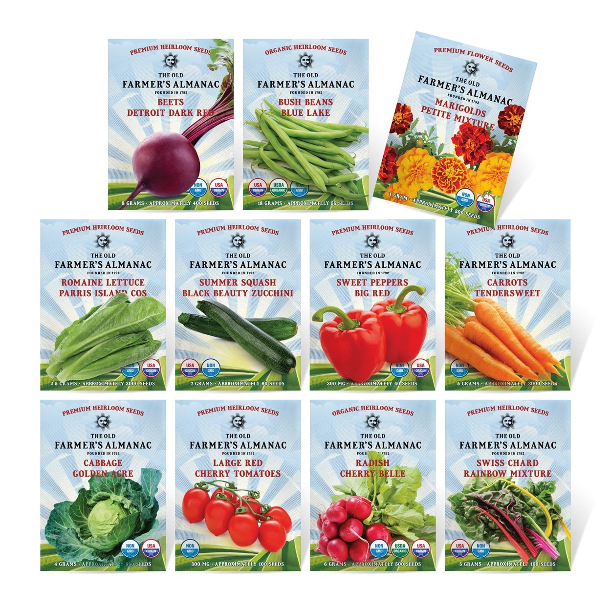 Zucchini Plants Bonsai Organic Vegetables 30 PCS Seeds 2019 Free Shipping Rare N 