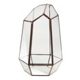 thumbnail image 2 of GUOOL Irregular Glass Geometric Terrarium Box Tabletop Plant Planter M, 2 of 9