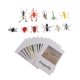 thumbnail image 5 of 60x Miniatura Realista Montessori Animales Variados Juguetes Set ños Con Tarjetas Preescolar Juguete De Aprendizaje Regalo Materiales D Macarena Figuras de animales de educación, 5 of 8