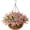 Pink, variant on Artificial Hanging Flowers for Outdoor Indoor Spring Decor,Faux Silk Flower Arrangement,6 Branches Daisy with 12 Inch Coconut Lining Chain for Patio Garden Decoration(Purple Red Pink)
