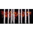 thumbnail image 2 of Atelier B Art Studio 18x10 Gold Ornate Wood Framed with Double Matting Museum Art Print Titled - WHITE TREES WITH ORANGE LEAVES, 2 of 4