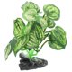 thumbnail image 2 of Plastic Aquatic Plants Ornament For Aquarium Habitat 6.8X4.5X10Cm Light Green Realistic Decoration 1 Set, 2 of 5