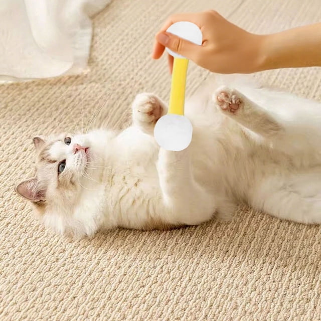 Interactive Cat Toy Set with Soft Teething Chew Sticks for Indoor and Exercise