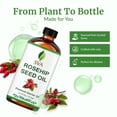 thumbnail image 2 of SVA Rosehip Seed Oil - 16 Fl Oz – 100% Natural & Cold Pressed - for Face, Skin Care, Hair Care, Scalp Massage & Body Massage – Carrier Oil with Dropper, 2 of 7