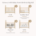 thumbnail image 5 of Delta Children Cannon 4-in-1 Convertible Crib - Converts from Baby Crib to Toddler Bed, Daybed and Sofa Bed, Fits Standard Full-Size Crib Mattress, Natural Sandstone, 5 of 14