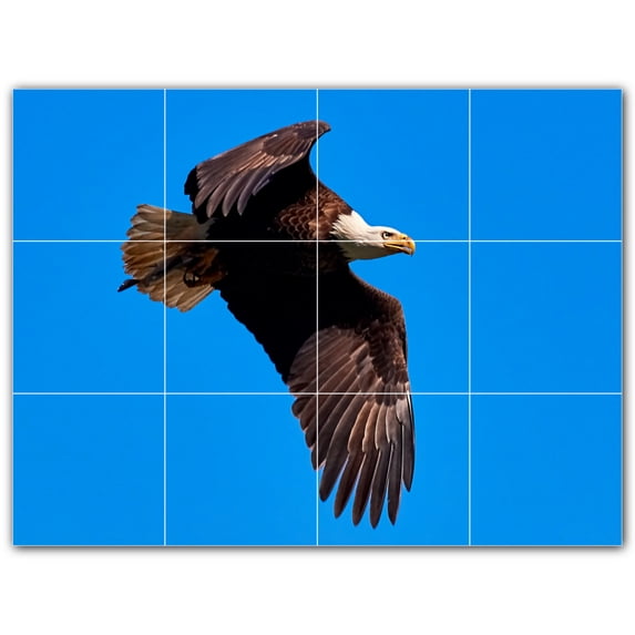 Picture-Tiles.com: Bird Ceramic Tile Wall Mural WAL500155-43S. 17"W x 12.75"H using (12) 4.25" x 4.25" Ceramic Tiles-Satin Finish