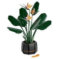 thumbnail image 2 of LEGO Icons Botanical Collection Bird of Paradise 10289, Flowers & Plants Model, DIY Set for Adults, Creative Activity, Office or Home Décor Gift Idea, 2 of 6