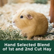 (2 pack) Kaytee Forti-Diet All Natural Timothy Hay for Rabbits, Guinea Pigs, Hamsters, Chinchillas and Other Small Animals, 28 ounce