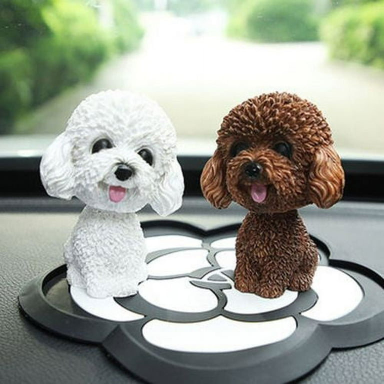 Toy poodle shaking cheap