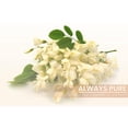 thumbnail image 6 of PURE ORIGINAL INGREDIENTS Acacia Fiber, 100 Capsules Pure, No Additives Or Fillers, Lab Verified, 6 of 7