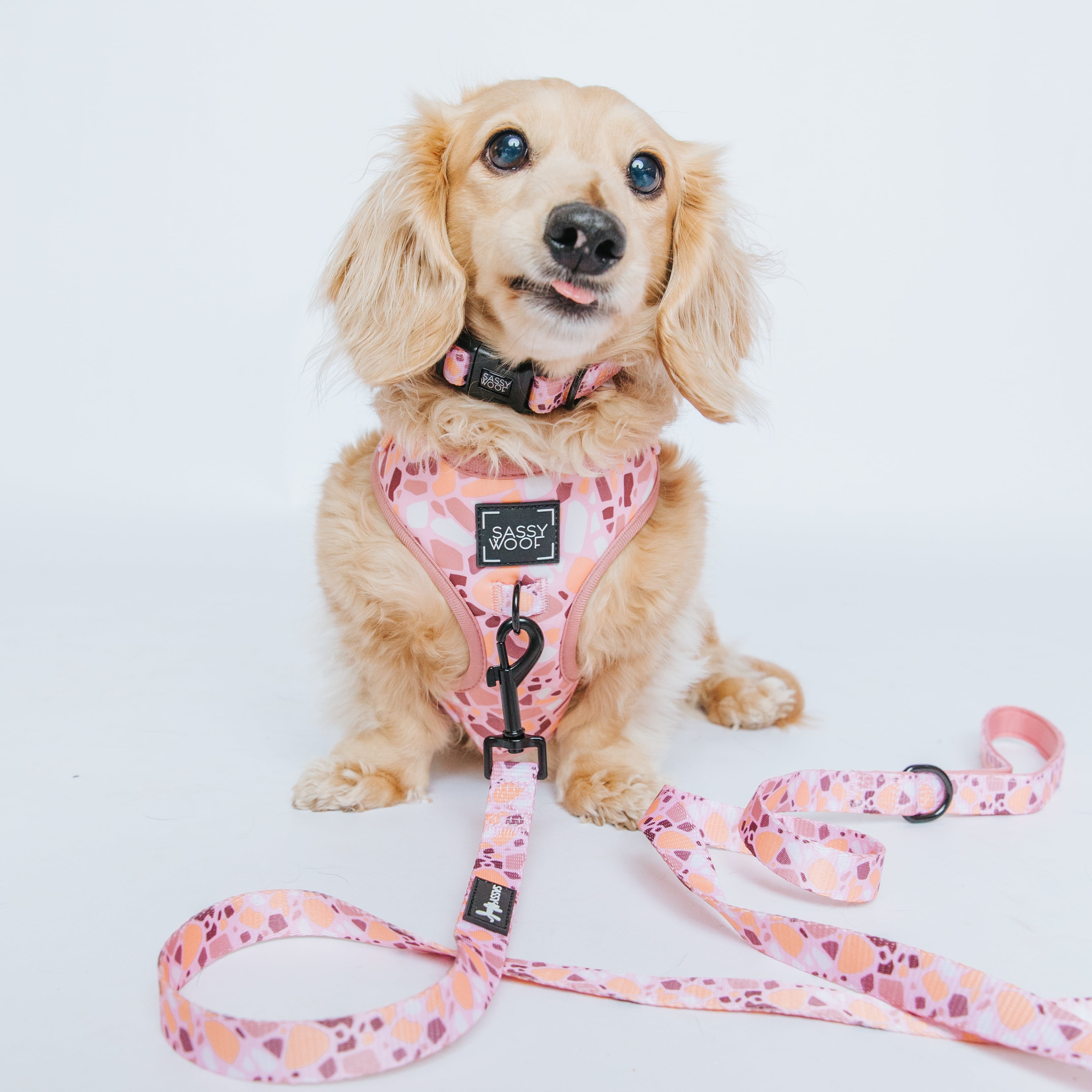 Sassy Woof Comfort Dual-Clip Adjustable Dog Harness - Pink Terrazzo, Extra Small