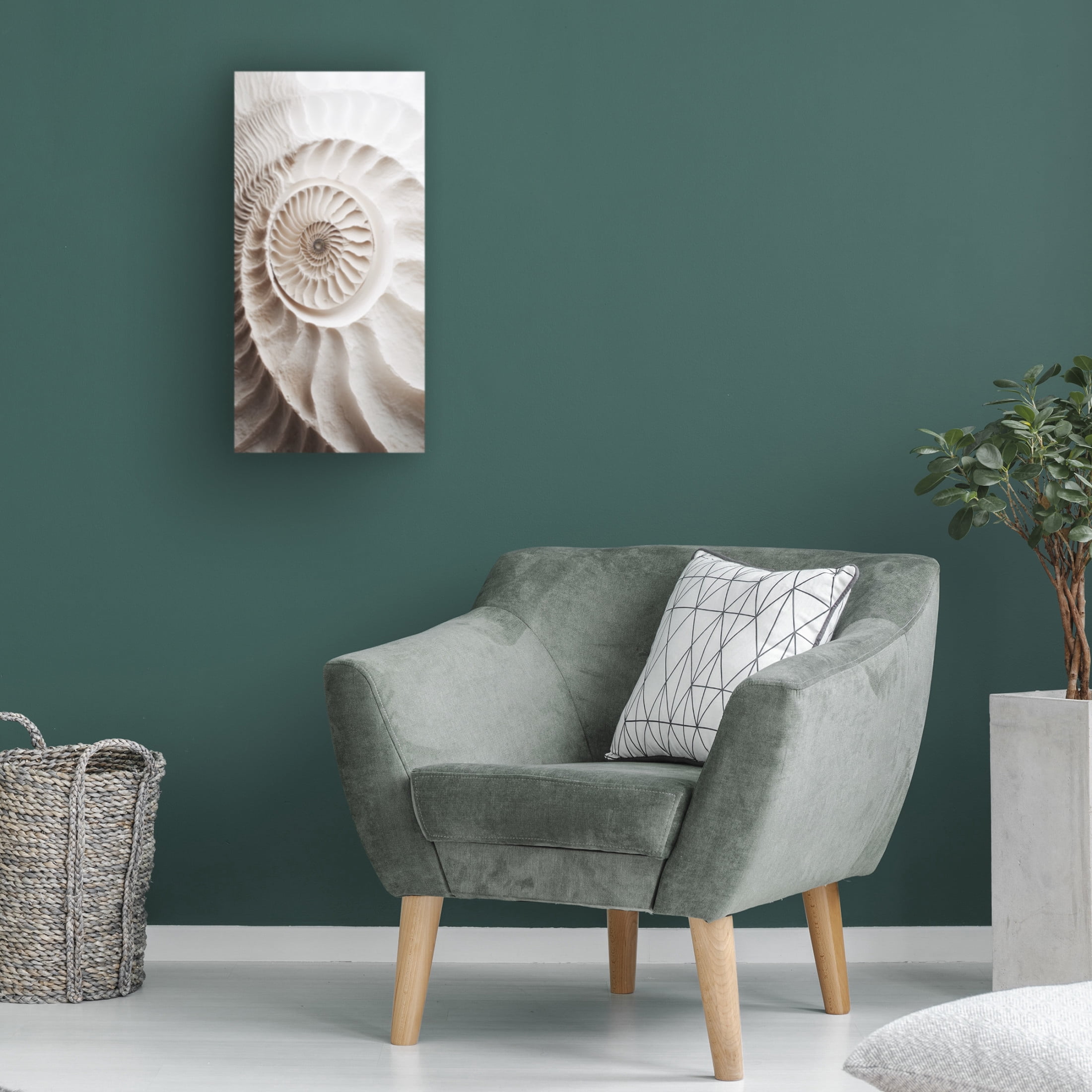 Canvas Wall Art - Sasha 'Ammonite' Wall Art for Living Room, Bedroom, or Office Décor by Trademark Fine Art - 10 x 19 Inches
