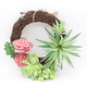 thumbnail image 3 of Simulación de traje carnoso, simulación de cabeza de flor, simulación de ramo, simulación de planta, decoraciones para el hogar, 3 of 6