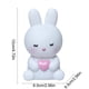 thumbnail image 3 of CaiYueKe Easter Bunny Night Light Portable LED Decor Cute Rabbit with Heart Carrot Shape Bedside Lamp Children's Room Holiday Party Valentine's Day Decorations Gift Home Decorative Light, 3 of 7
