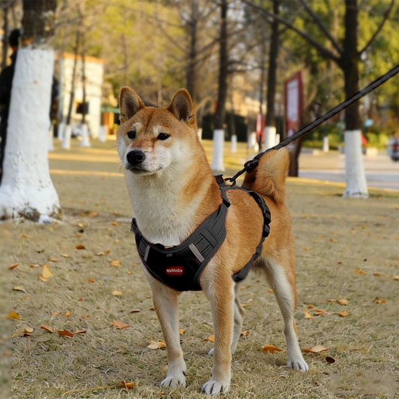 No Pull Dog Harness Adjustable Soft Padded Vest Harness with Handle Breathable Oxford Air Mesh Safety Buckle Dog Harness for Small Medium Large Dogs Walking Training L Size