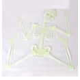 thumbnail image 4 of 12.59in Luminous Green Skeleton Halloween Toy - Glow in Dark, 32cm Movable Plastic Skeleton Prop for Party, Haunted House, Cosplay, Trick or Treat, Scary Decoration, 4 of 9
