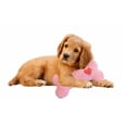 thumbnail image 4 of Warming Hug Dog Soft Plush Bone Toy Soothing Lavender Scented with Heat Pouch (9 inch Full Set - All 3 Bones), 4 of 7