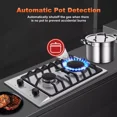 thumbnail image 3 of 2 Burners 12 inch Gas Cooktop Stainless Steel NG/LPG Convertible Built-in Burner Cooktop, 3 of 12