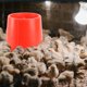 thumbnail image 4 of 2 contenedores de plástico para alimentos, cubos para pollitos, bebederos y comederos para animales de granja., 4 of 6