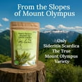 thumbnail image 3 of My Land Organic Greek Mountain Tea Loose Leaf Herbal Tea Handpicked on Mount Olympus 1.76 oz, 3 of 8