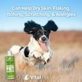 thumbnail image 6 of Vital Pet Life Dog Shampoo with Oatmeal, Aloe Vera, Chamomile, Jojoba Oil, Vitamin E, 16 oz, 6 of 8